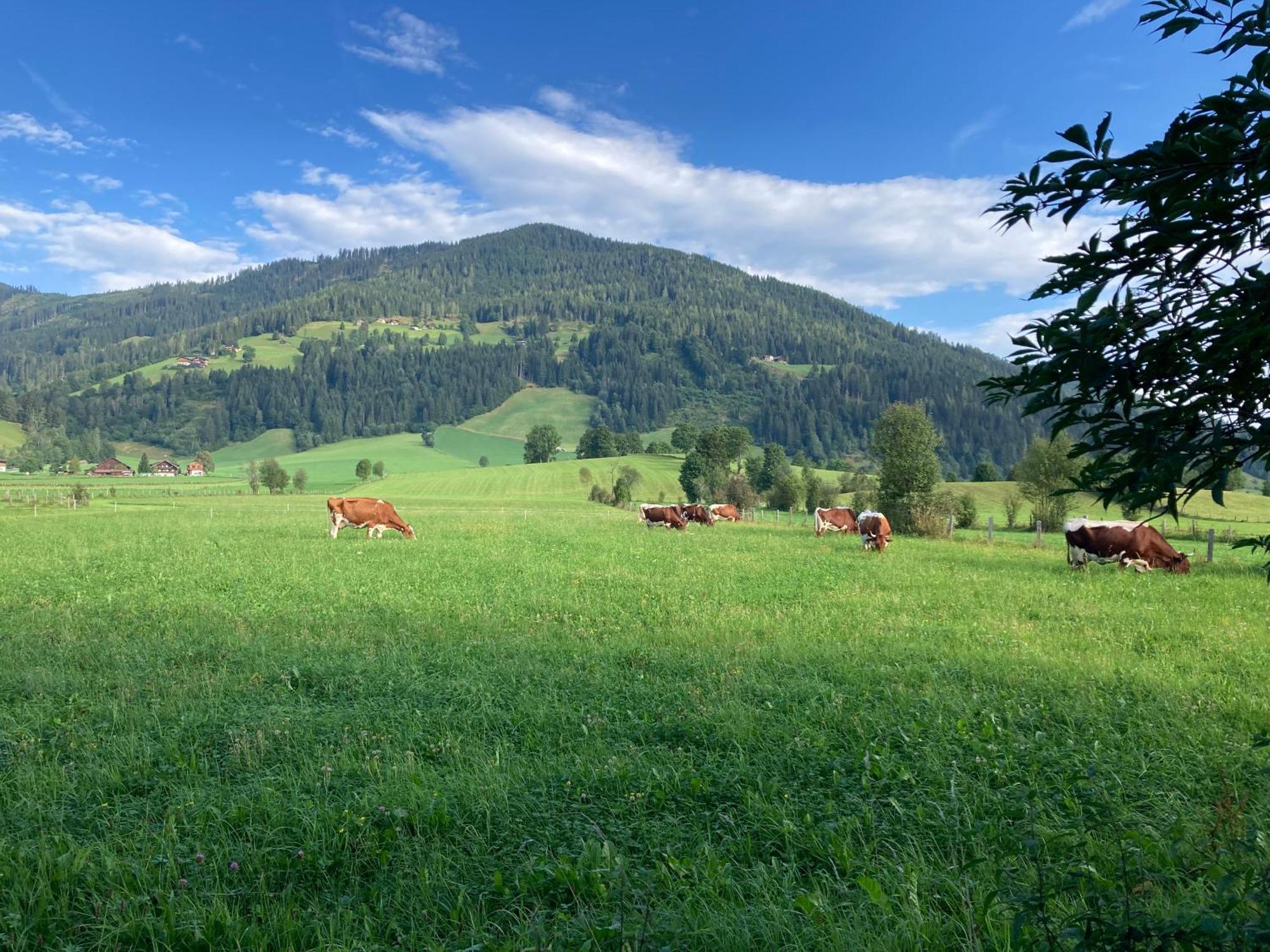 4 Elements Appartmenthaus Monarda Флахау Екстер'єр фото